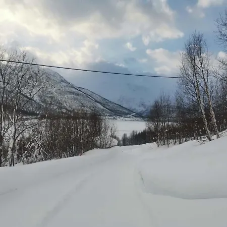 极光民宿northern Lights *