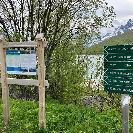 极光民宿northern Lights *