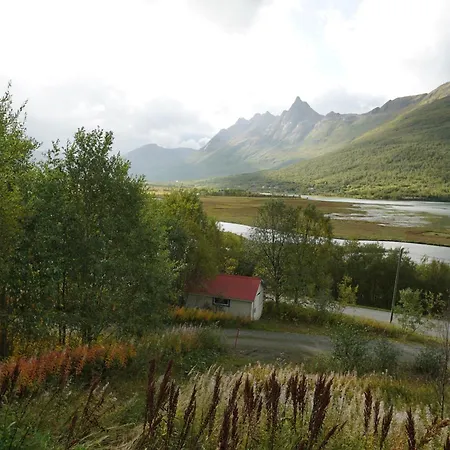 Lodge 极光民宿northern Lights *