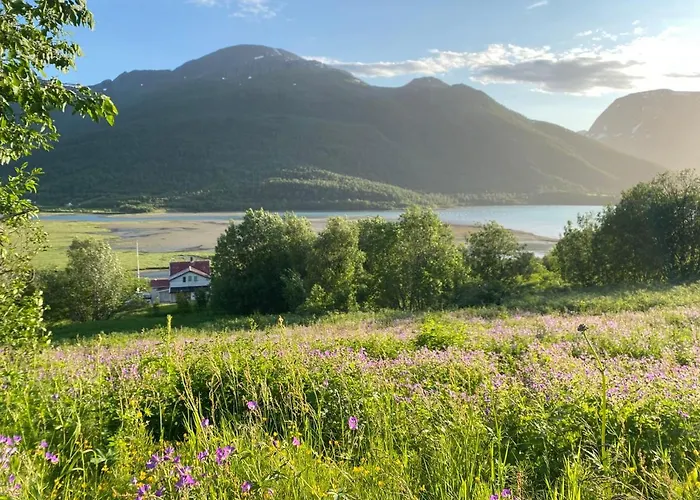 אכסניה 极光民宿northern Lights